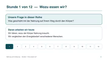 Vorschau - Unterrichtsreihen - Unterrichtsreihe: Nahrung und Verdauung - Seite 2