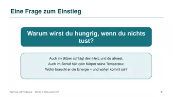 Vorschau - Unterrichtsreihen - Unterrichtsreihe: Nahrung und Verdauung - Seite 3
