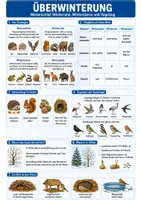 Vorschau - Arbeitsblätter - Überwinterung bei Tieren – Spickzettel Biologie - Seite 1