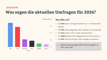 Vorschau - Arbeitsblätter - Landtagswahl 2026 MV - Schule und Personalmangel - Seite 3