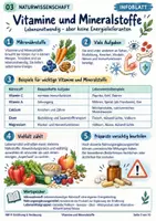 Vorschau - Stundenentwürfe - Vitamine und Mineralstoffe im Alltag – differenzierte Arbeitsblätter mit Lösungen | AV & Berufskolleg - Seite 2