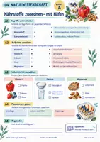 Vorschau - Stundenentwürfe - Vitamine und Mineralstoffe im Alltag – differenzierte Arbeitsblätter mit Lösungen | AV & Berufskolleg - Seite 3