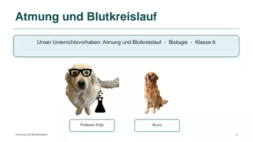 Vorschau - Unterrichtsreihen - Unterrichtsreihe: Blutkreislauf und Atmung - Deckblatt