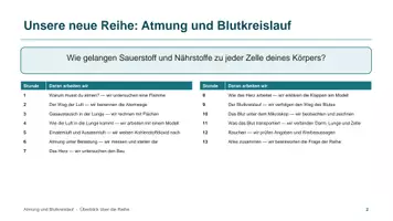 Vorschau - Unterrichtsreihen - Unterrichtsreihe: Blutkreislauf und Atmung - Seite 1