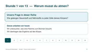 Vorschau - Unterrichtsreihen - Unterrichtsreihe: Blutkreislauf und Atmung - Seite 2