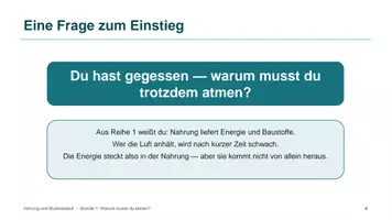 Vorschau - Unterrichtsreihen - Unterrichtsreihe: Blutkreislauf und Atmung - Seite 3