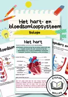 Voorbeeld - Het hart- en bloedsomloopsystem - Antomie - Biologie - Voorblad