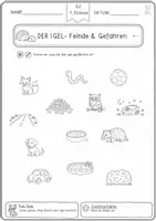 Vorschau - Arbeitsblätter - Igel Arbeitsblätter Klasse 1 – Sachunterricht mit Lösungen - Seite 3