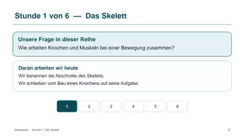 Vorschau - Unterrichtsreihen - Unterrichtsreihe: Bewegung und Muskeln - Seite 2
