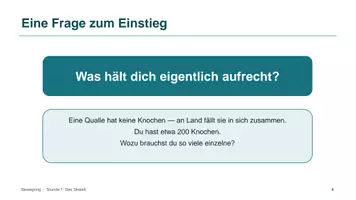 Vorschau - Unterrichtsreihen - Unterrichtsreihe: Bewegung und Muskeln - Seite 3