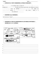 anteprima - Esercizi - VERIFICA: STORICO, FONTI, MISURE DI TEMPO, FOSSILIZZAZIONE. - Pagina di copertina