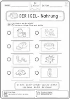 Vorschau - Arbeitsblätter - Igel Arbeitsblatt – Arbeitsblätter für die 2. Klasse - Seite 2