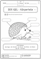 Vorschau - Arbeitsblätter - Igel Arbeitsblatt – Arbeitsblätter für die 2. Klasse - Seite 3