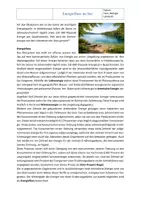 Vorschau - Arbeitsblätter - Ökosystem See: Energiefluss – Arbeitsblatt mit Lösung | Klasse 7/8 - Seite 1