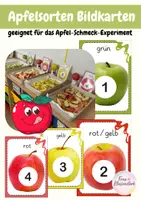 Vorschau - Bildkarten - Apfelsorten Bildkarten Tafelmaterial für Apfel-Schmeck-Experiment - Deckblatt