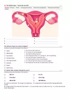 Vorschau - Interaktives Material - Sexualkunde: Befruchtung - interaktive Lerneinheit - Seite 3