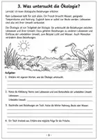 Vorschau - Arbeitsblätter - Ökologie verstehen – Selbstlernheft Klasse 9/10 mit Lösungen | Ökosysteme, Nahrungsnetze & Naturschutz - Seite 3