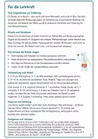 Vorschau - Arbeitsblätter - Verdauung und Nährstoffaufnahme – Mission Pausenbrot | Biologie Klasse 5-6 - Seite 1