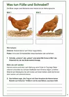 Vorschau - Arbeitsblätter - Hühner und tiergerechte Haltung – Mission Hühnerhof | Biologie Klasse 5-6 - Seite 3