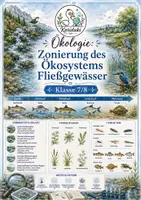Vorschau - Arbeitsblätter - Sparpaket: Ökosystem Fließgewässer – 4 Materialien mit Lösungen | Klasse 7/8 - Seite 1