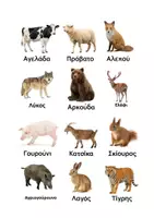 Προεπισκόπηση - Παιχνίδια - ποιο ζώο είμαι - Σελίδα 2