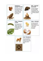 Vorschau - Spiele - Lernspiel über Tiere, Spuren und ungewöhnliche Fundstücke - Seite 3