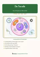 Vorschau - Arbeitsblätter - Die Tierzelle – Lesespurgeschichte mit Rätselaufgaben (Klasse 8) - Seite 1