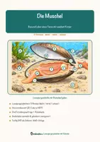 Vorschau - Arbeitsblätter - Die Muschel – Lesespurgeschichte mit Rätselaufgaben (Klasse 8) - Seite 1