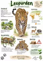 Vorschau - Arbeitsblätter - Lernplakat + AB mit Fragen zum Thema "Leoparden" + Lösungsblatt + Infografik - Deckblatt