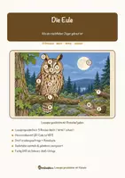 Vorschau - Arbeitsblätter - Die Eule – Lesespurgeschichte mit Rätselaufgaben (Klasse 8) - Seite 1