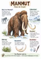 Vorschau - Arbeitsblätter - Lernplakat + AB mit Fragen zum Thema "Mammut" + Lösungsblatt + Infografik - Seite 1
