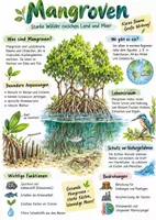 Vorschau - Arbeitsblätter - Lernplakat + AB mit Fragen zum Thema "Mangroven" + Lösungsblatt + Infografik - Deckblatt