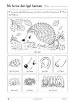 Vorschau - Arbeitsblätter - Der Igel im Herbst , Arbeitsheft inkl. Wortschatzkarten - Seite 1
