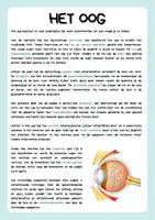 Voorbeeld - Zintuigorgaan - Het oog: bouw en werking - Pagina 3