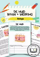 Voorbeeld - Zintuigorgaan - De huid: bouw en werking - Voorblad