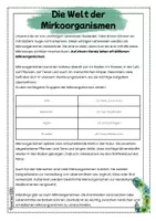 Vorschau - Arbeitsblätter - Mikroorganismen | Arbeitsheft | Natur und Technik - Seite 3