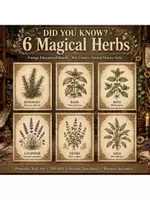 Vista previa - Decoración del aula - Pósters Educativos 6 Hierbas Mágicas | Vintage Botanical | Ciencias Naturales en Inglés - página 1