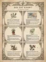 Vista previa - Decoración del aula - Pósters Educativos 6 Hierbas Mágicas | Vintage Botanical | Ciencias Naturales en Inglés - Portada