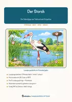 Vorschau - Arbeitsblätter - Der Storch – Lesespurgeschichte mit Rätselaufgaben (Klasse 8) - Seite 1