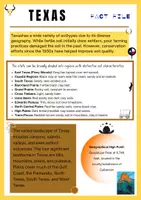 Vorschau - Arbeitsblätter - USA Landeskunde: Texas Fact Files (6-8) - Seite 3