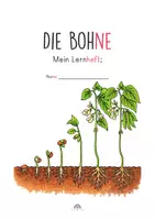 Vorschau - Arbeitsblätter - Bohne Klasse 1-2 Lernheft, Arbeitsblätter, Legekreis – Vom Samen zur Pflanze - Seite 2