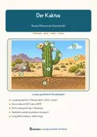 Vorschau - Arbeitsblätter - Der Kaktus – Lesespurgeschichte mit Rätselaufgaben (Klasse 8) - Seite 1