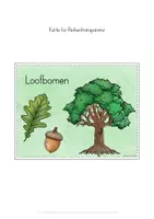 Voorbeeld - bomen loofbomen leseenheid - Pagina 3