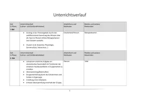 Vorschau - Arbeitsblätter - Unsere Haut - das größte Sinnesorgan - Seite 3