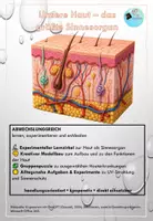 Vorschau - Arbeitsblätter - Unsere Haut - das größte Sinnesorgan - Deckblatt