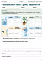 Vorschau - Arbeitsblätter - Fachsprache Nawi Arbeitsheft Klasse 5 bis 6 - Deckblatt