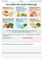 Vorschau - Arbeitsblätter - Ernährung und Körper Arbeitsheft Klasse 5 bis 6 - Seite 1