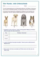 Vorschau - Arbeitsblätter - Hunde: Züchtung und Vererbung – Mission Hundespur | Biologie Klasse 5-6 - Seite 2