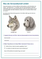 Vorschau - Arbeitsblätter - Hunde: Züchtung und Vererbung – Mission Hundespur | Biologie Klasse 5-6 - Seite 3