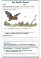 Vorschau - Arbeitsblätter - Fledermäuse und Echoortung – Mission Nachtflug | Biologie Klasse 5-6 - Seite 2